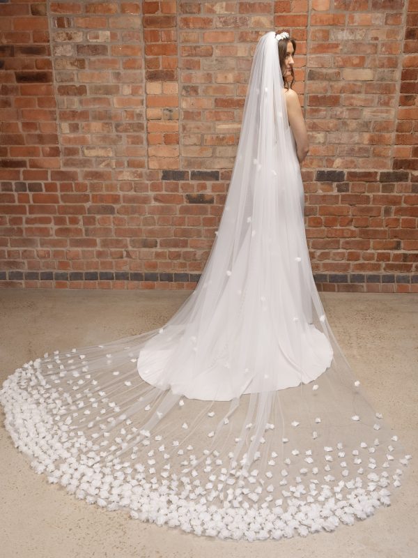 Cathedral length veil style PBV9035